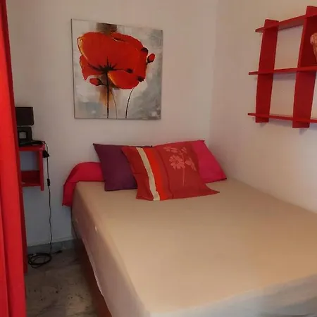 Sanguinaires Appt 3 P Pour 4 A 5 Personnes Ttes Commodites Tt Confort ! A 300m Des Plages Et A 5 Mn Du Centre * Ajaccio