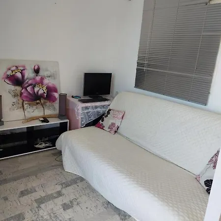 Sanguinaires Appt 3 P Pour 4 A 5 Personnes Ttes Commodites Tt Confort ! A 300m Des Plages Et A 5 Mn Du Centre Apartman *